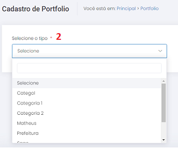 Portfoliosele.png