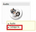 Aaudiocat.jpg